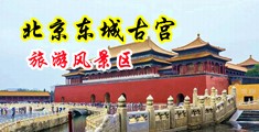 黑大屌操女逼高清中国北京-东城古宫旅游风景区